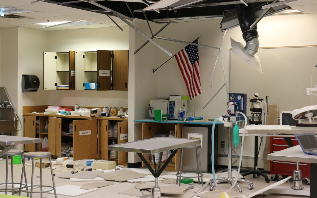 A Community Working Together in the Wake of the Quake